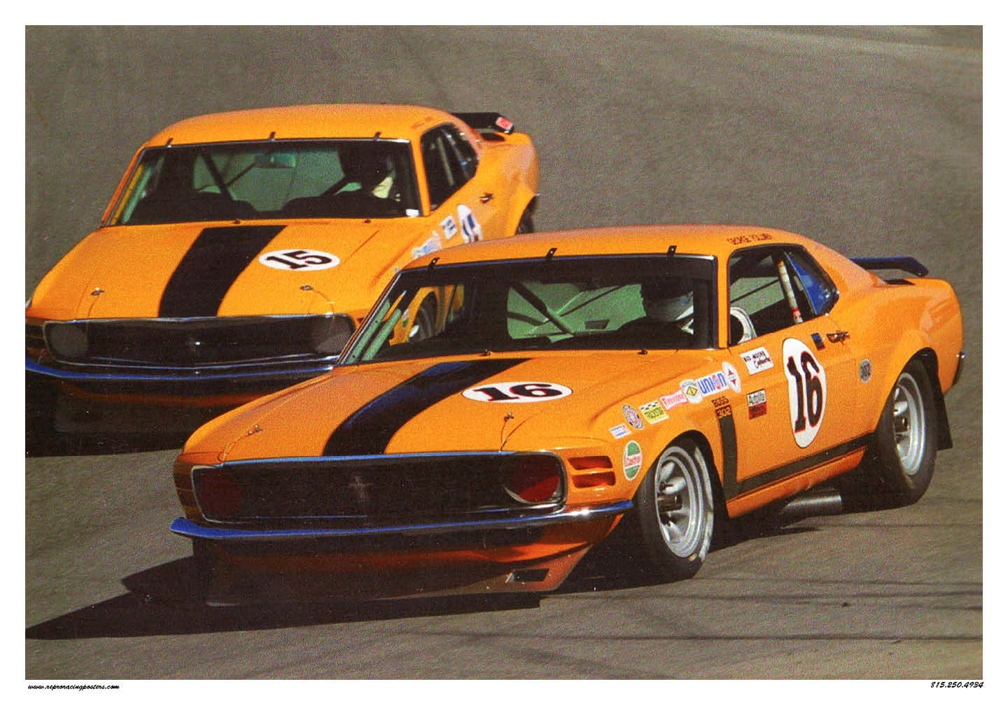 trans am mustangs.jpg