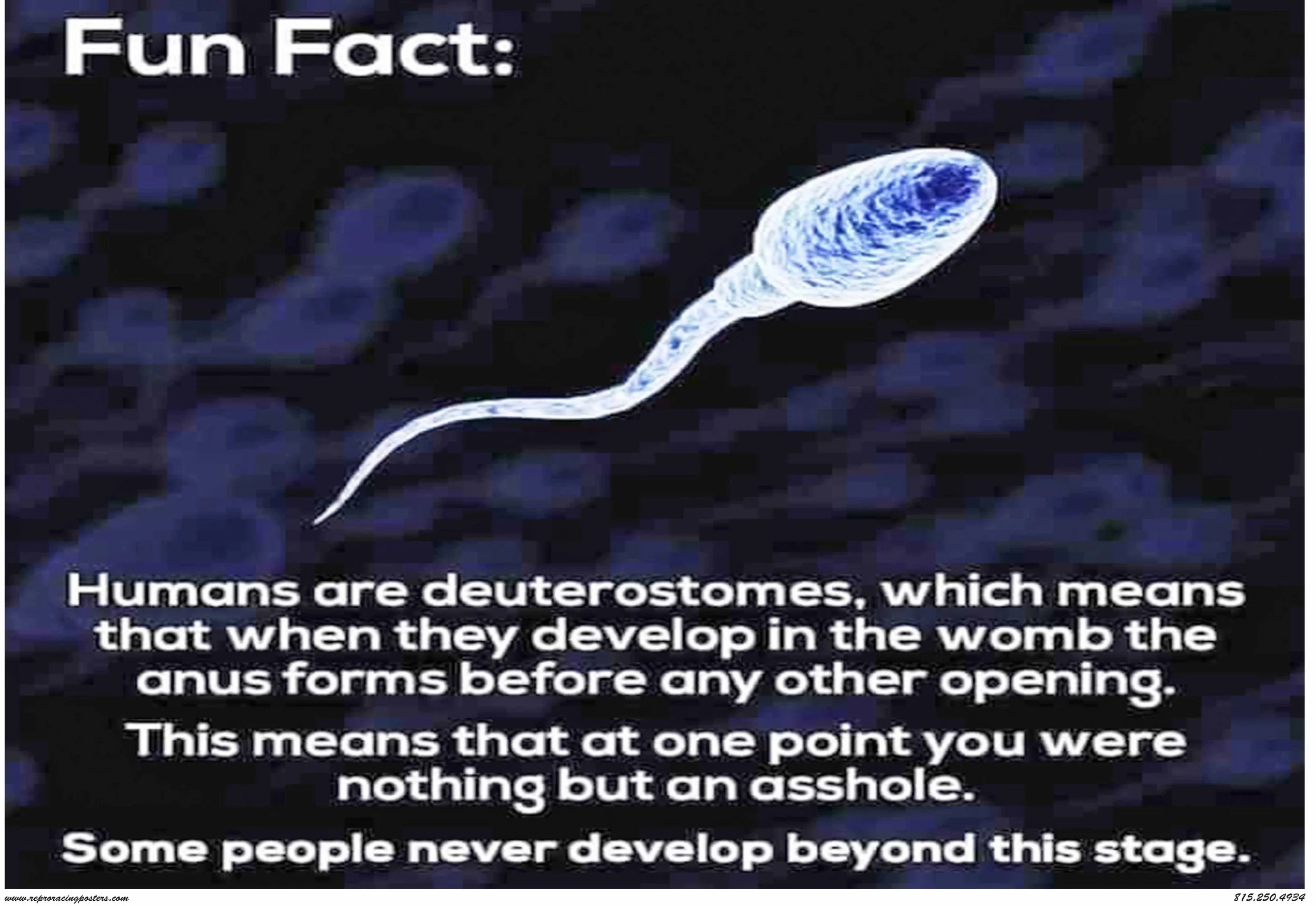 sperm asshole.jpg