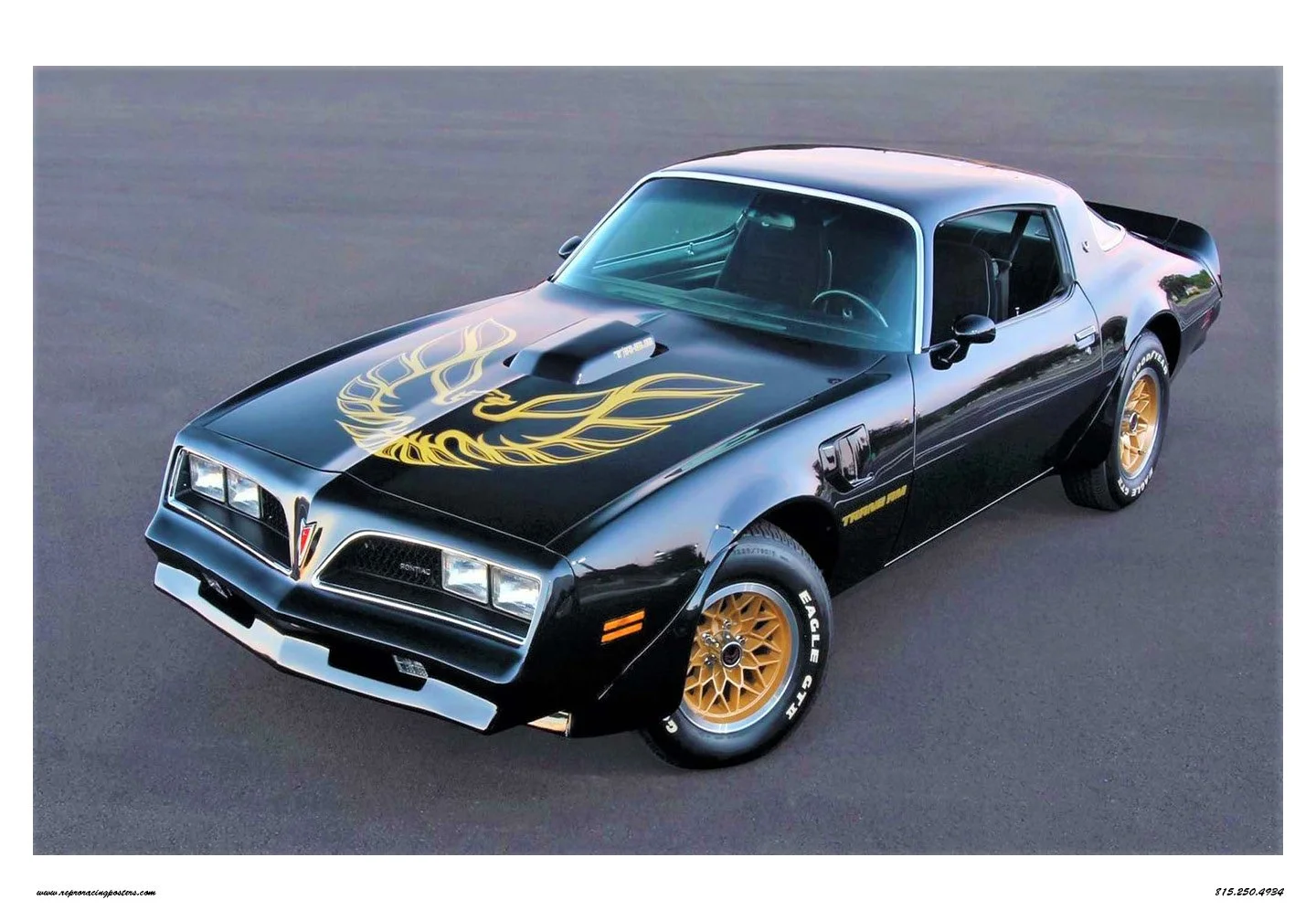 bandit pontiac.jpg