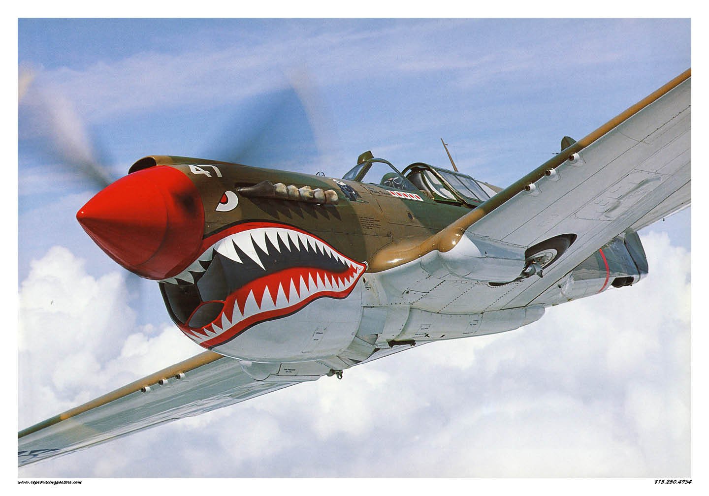 p 47.jpg