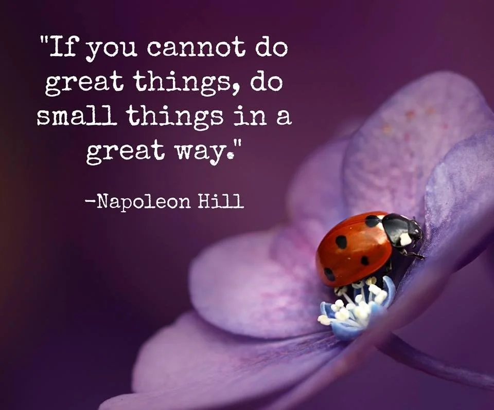 What Are Micro Habits?