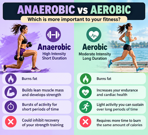 Aerobic &amp; Anaerobic Training
