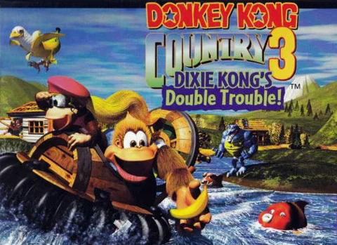 2832011-dkc3.jpg