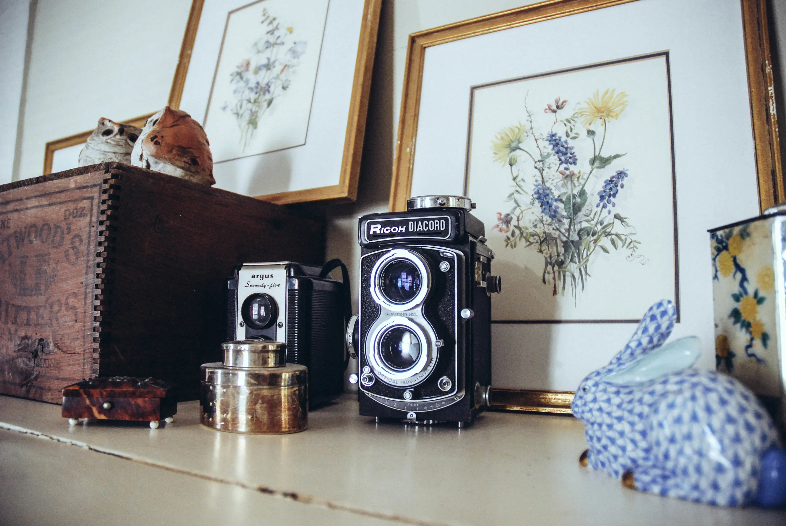 old_cameras.jpg