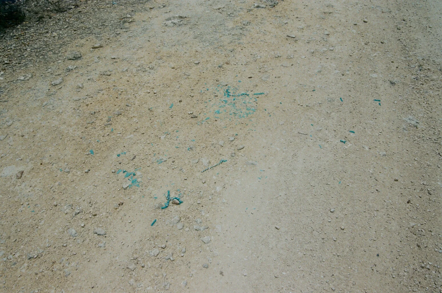 09790002.JPG