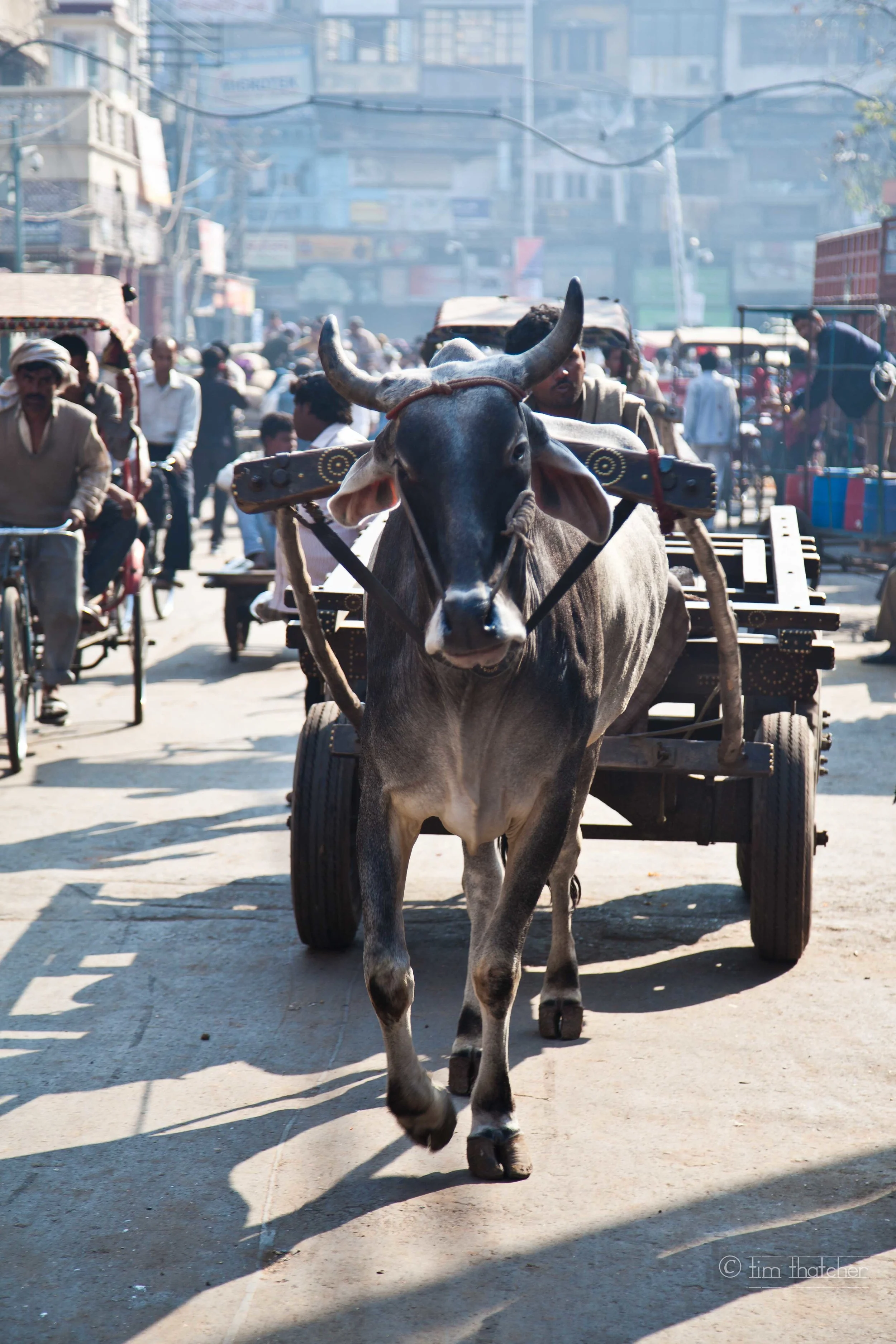 Getaway India-112.jpg