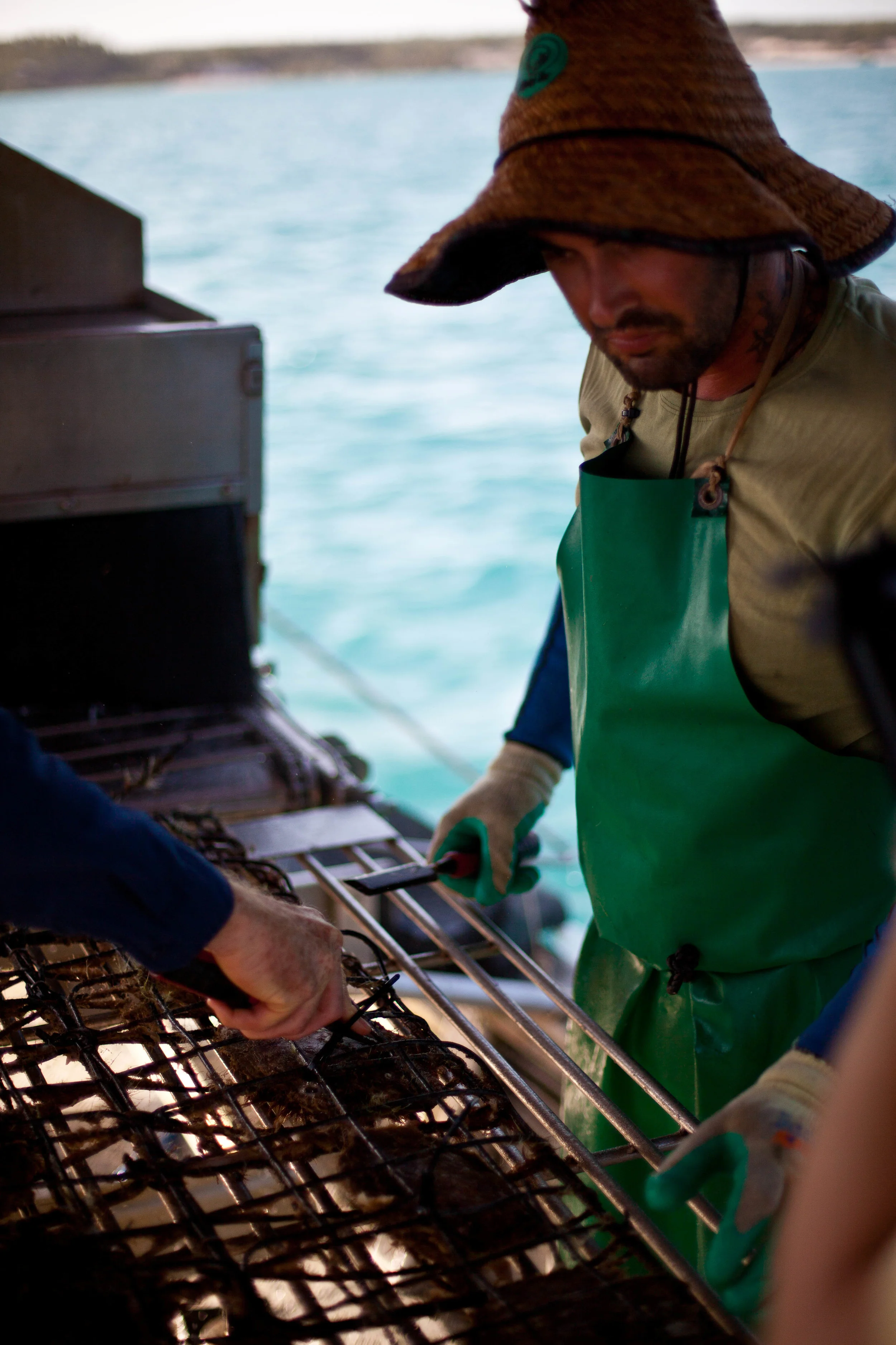 Restaurant Australia BHS-63.jpg