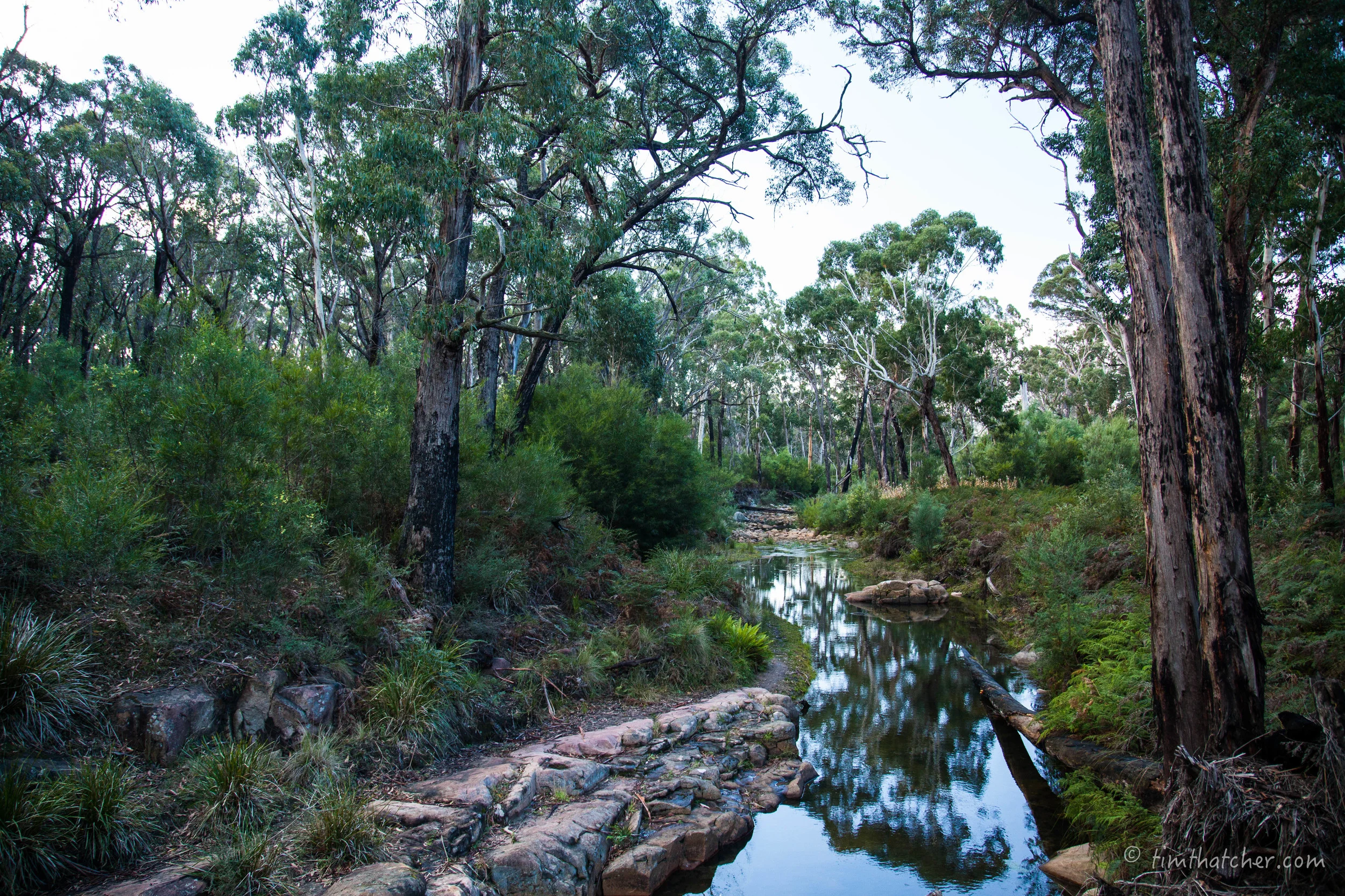 AGA Grampians-5945.jpg