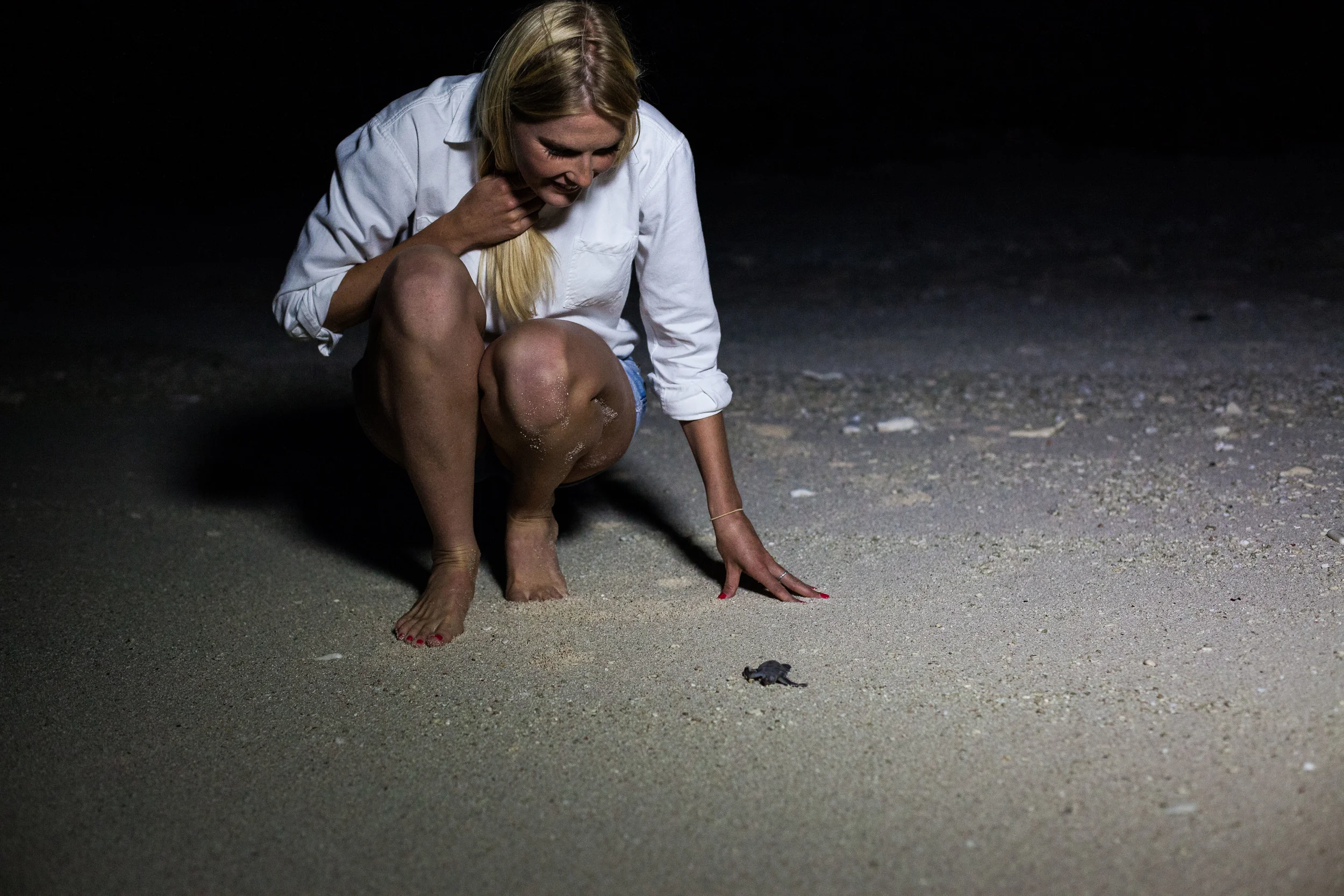 Australian Geographic Adventures - Lady Elliot Island