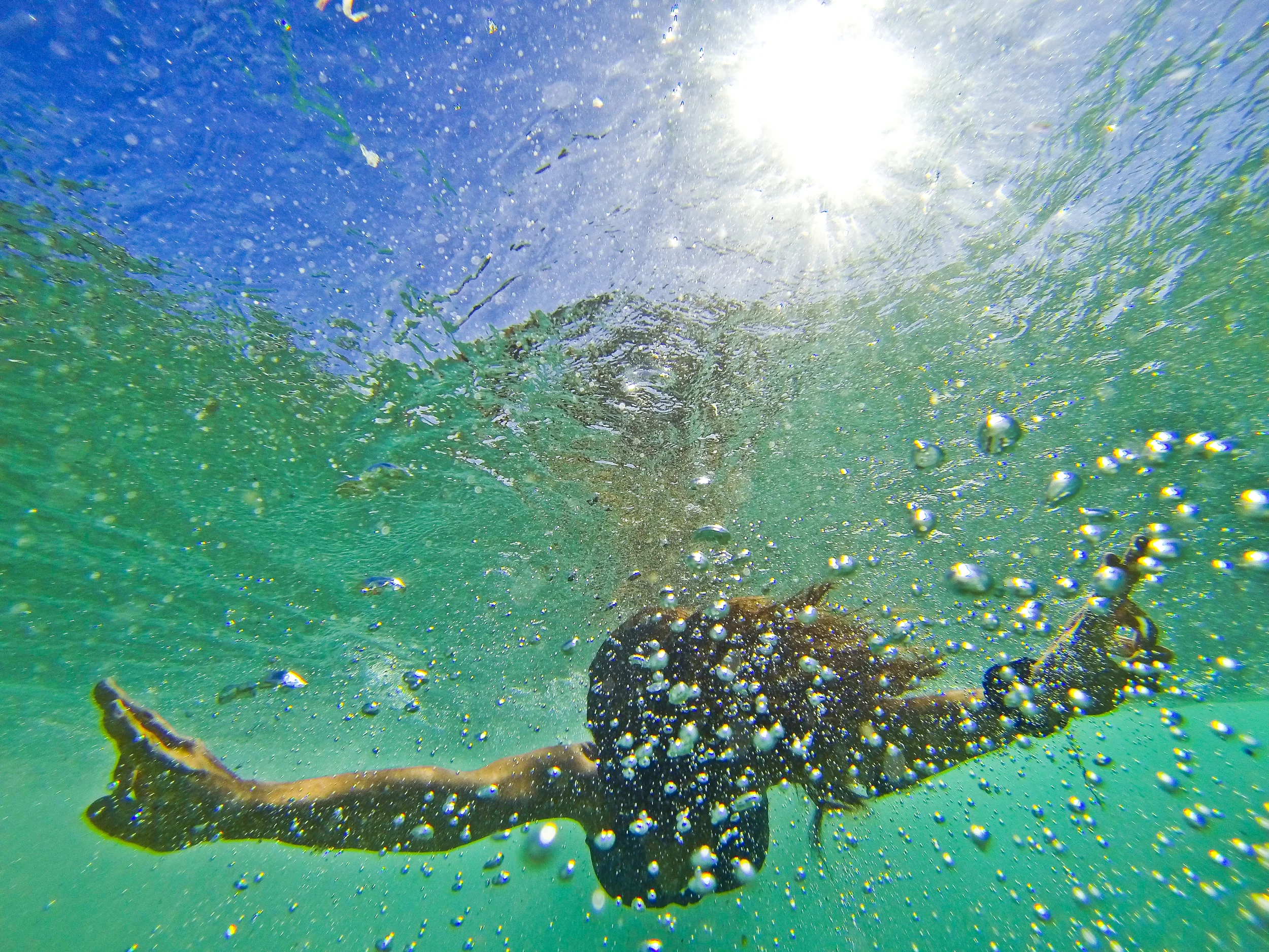 Mel Go Pro.jpg
