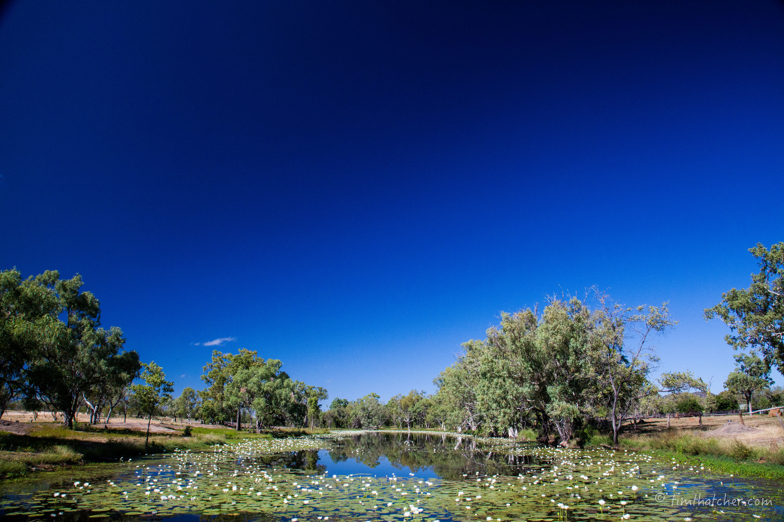 Far North Qld-3963.jpg