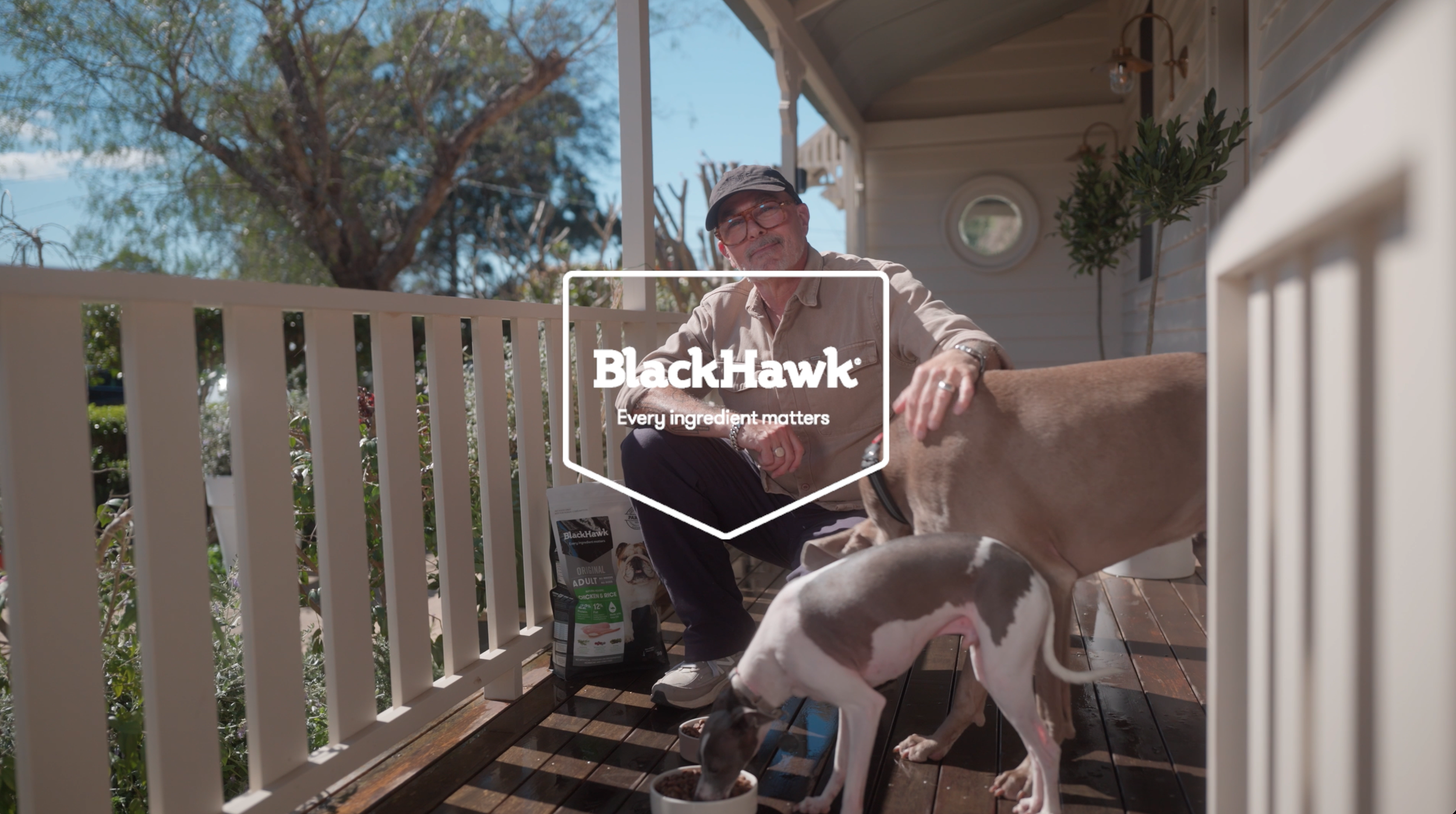 Black Hawk w Neale Whitaker