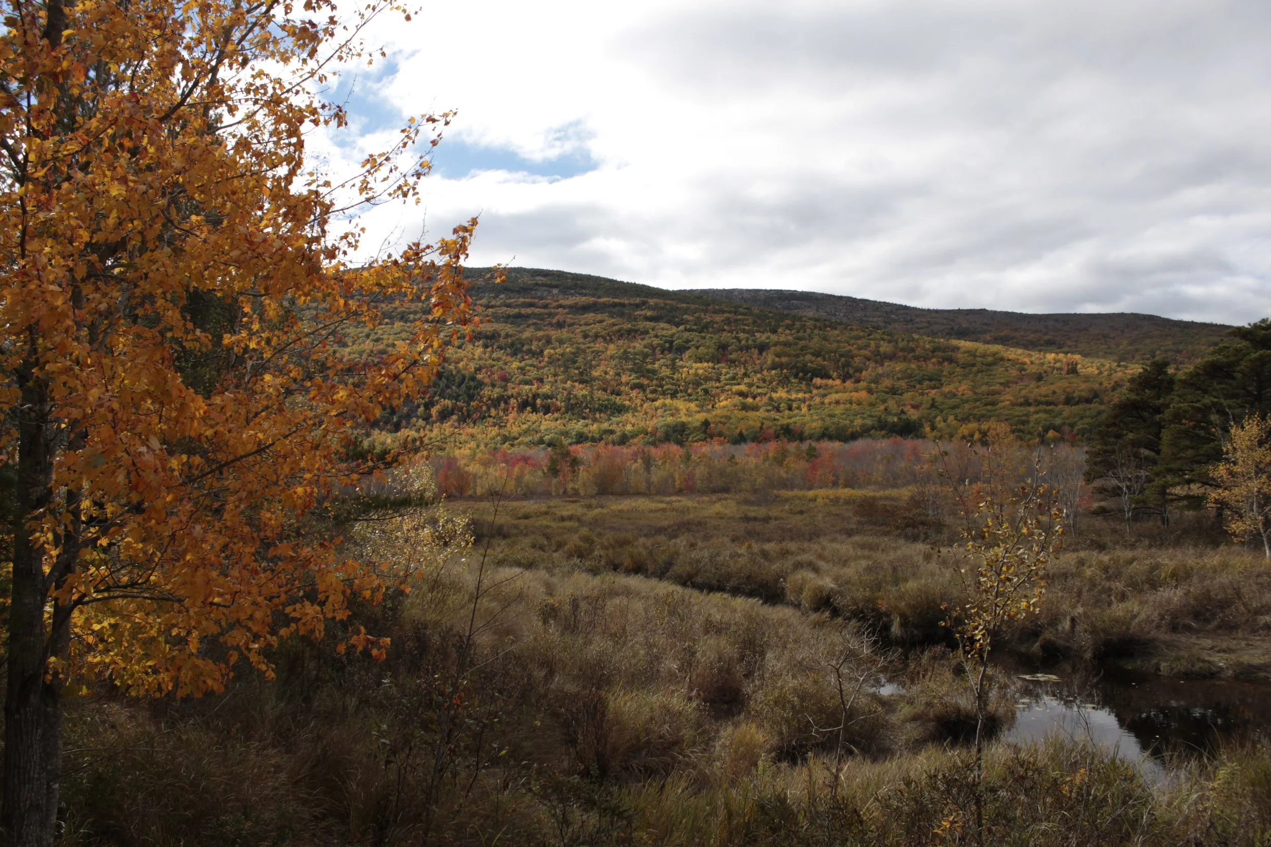 _MG_2839.JPG