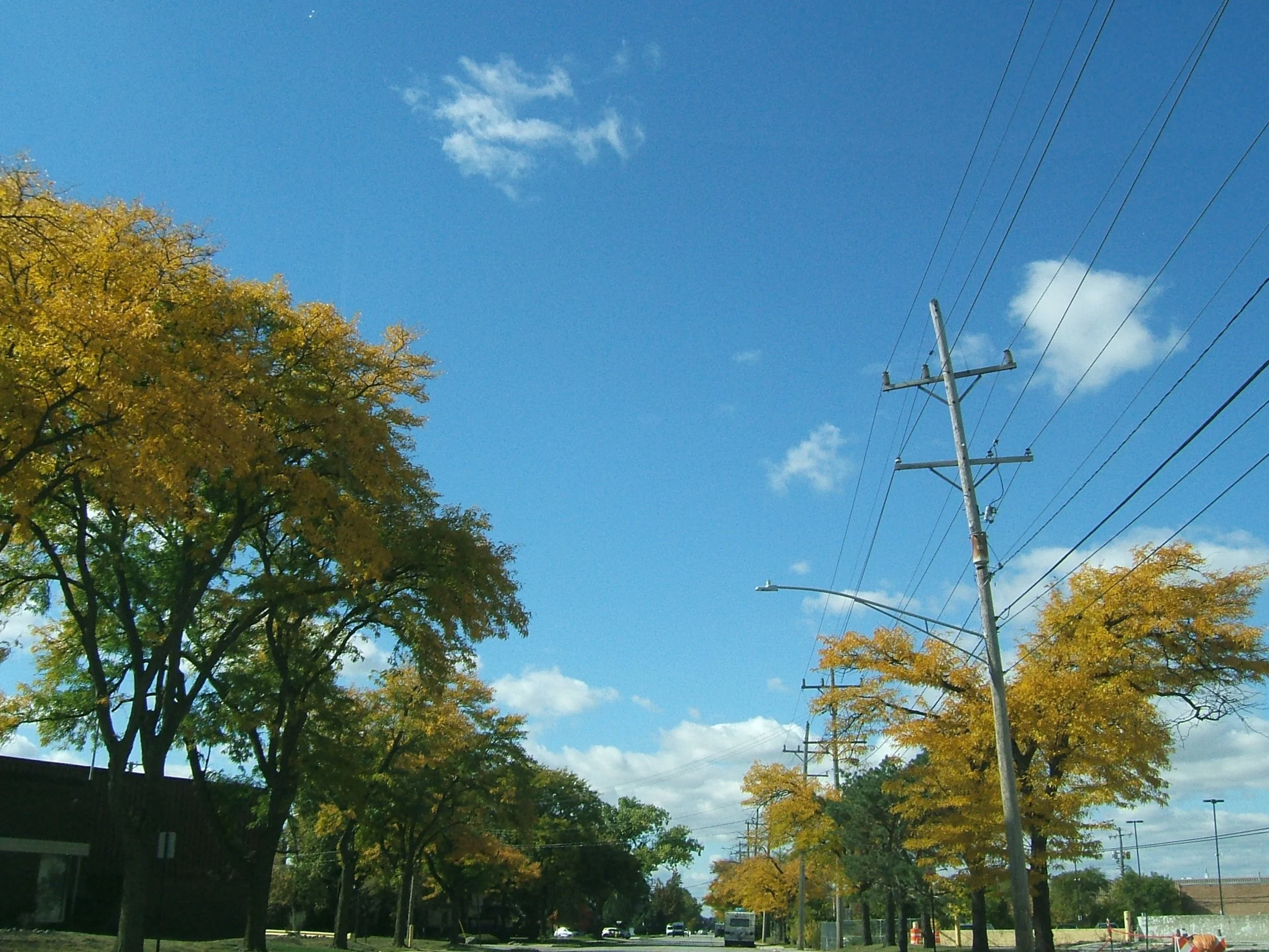 Image-5.jpg