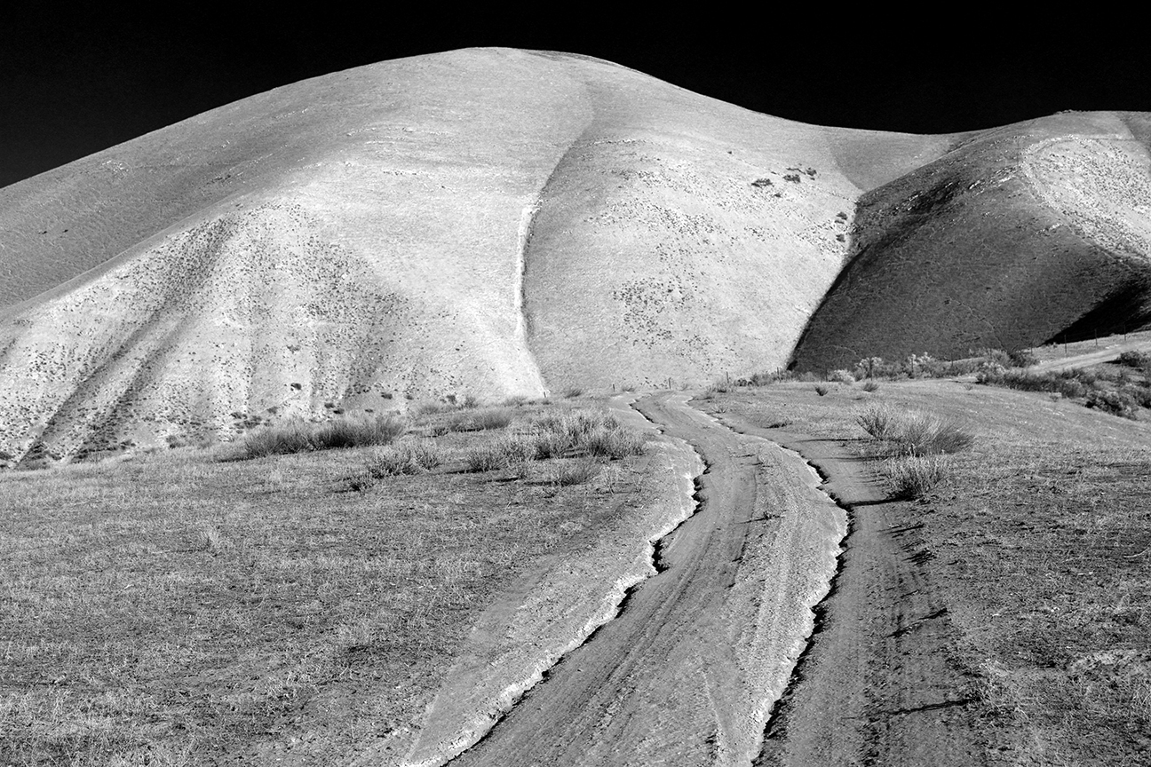 Images from the Carrizo Plain National Monument