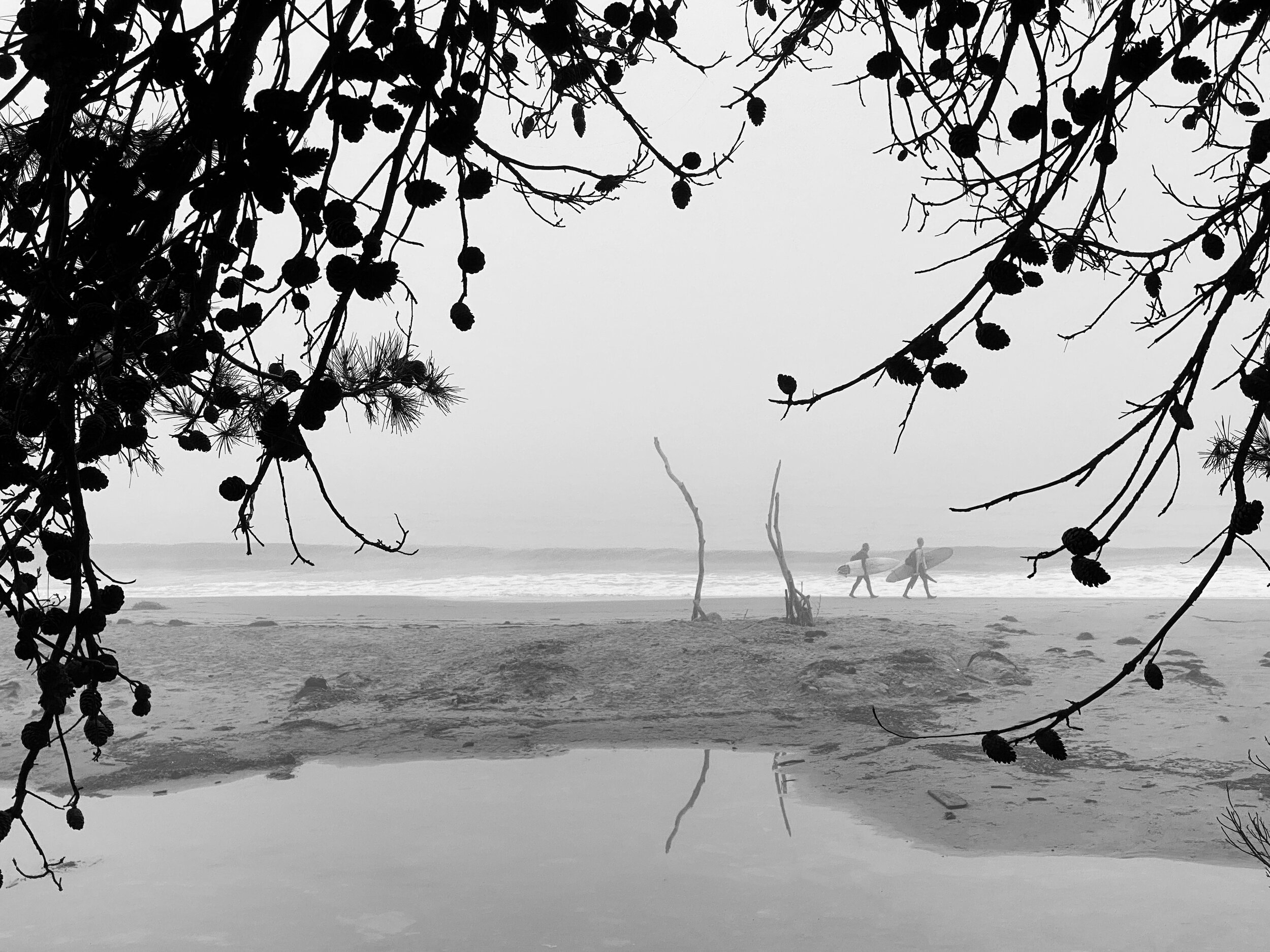 The Dancers danced and the surfers surfed.