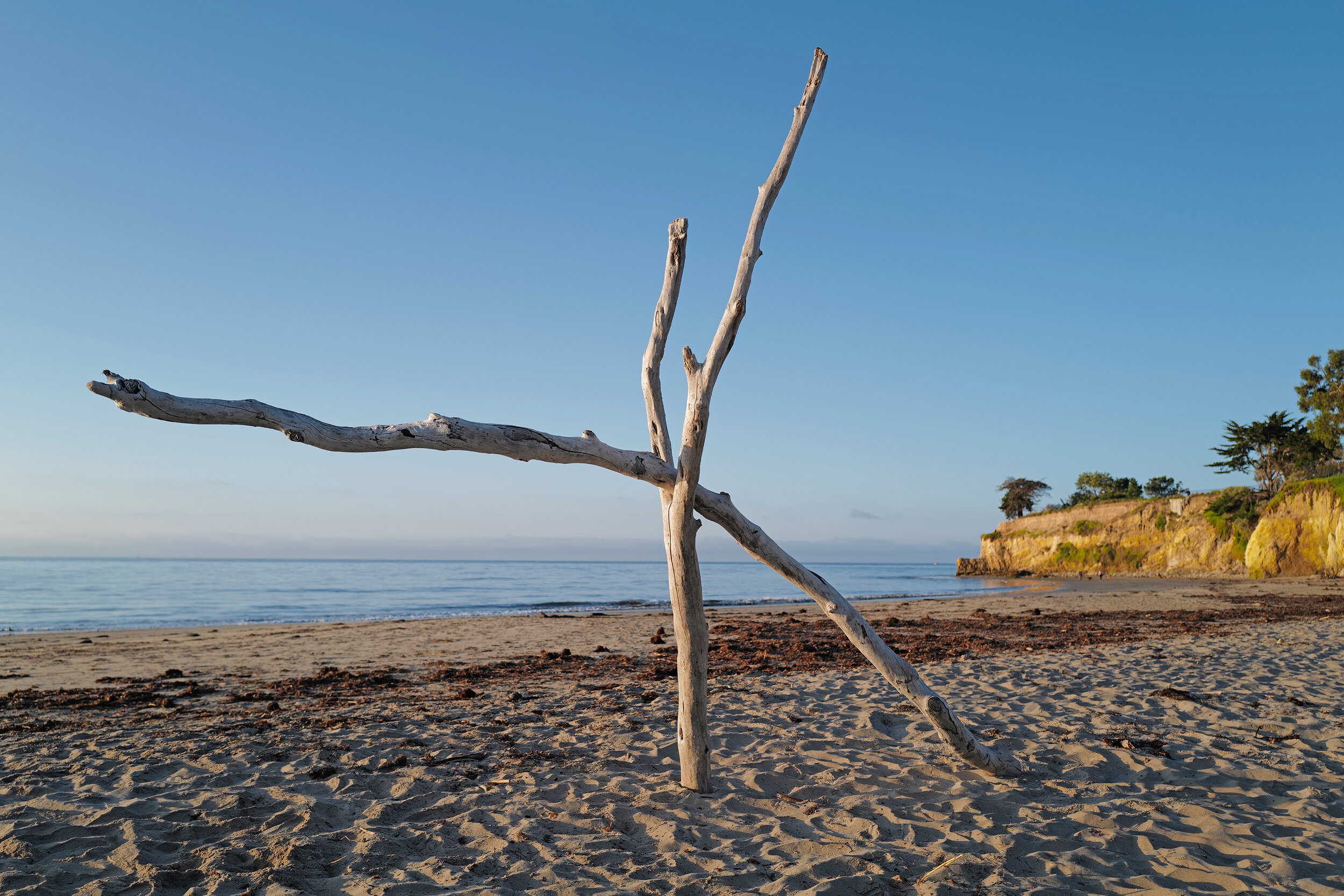 Y & \ first appeared on a Santa Barbara beach in January 2020. I designate them Y and \ because one looked like a Y and the other a \.