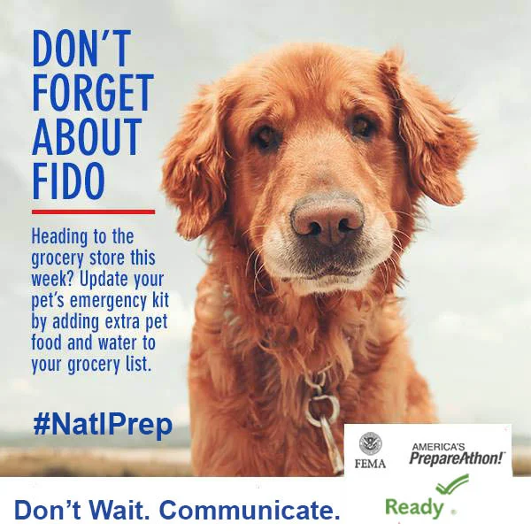NatlPrep_10_medium.jpg
