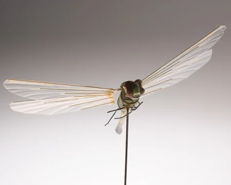 museum_insectovothopter_dragonfly_operational_036.jpg
