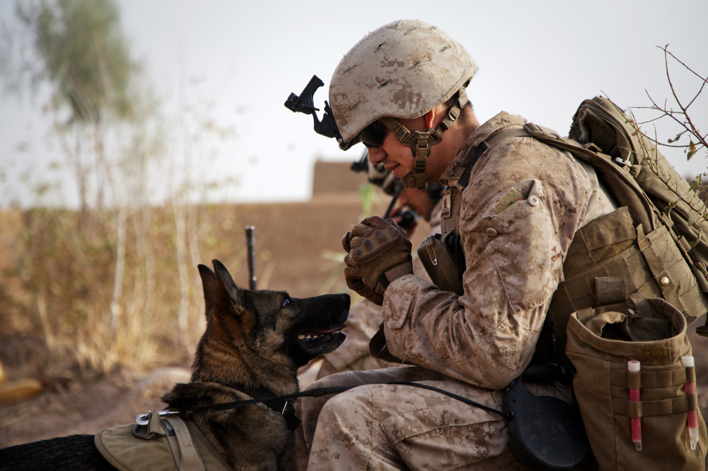 A United States Marine and His Partner - a Marine Working Dog, Sharing a Respite from the Task At Hand.