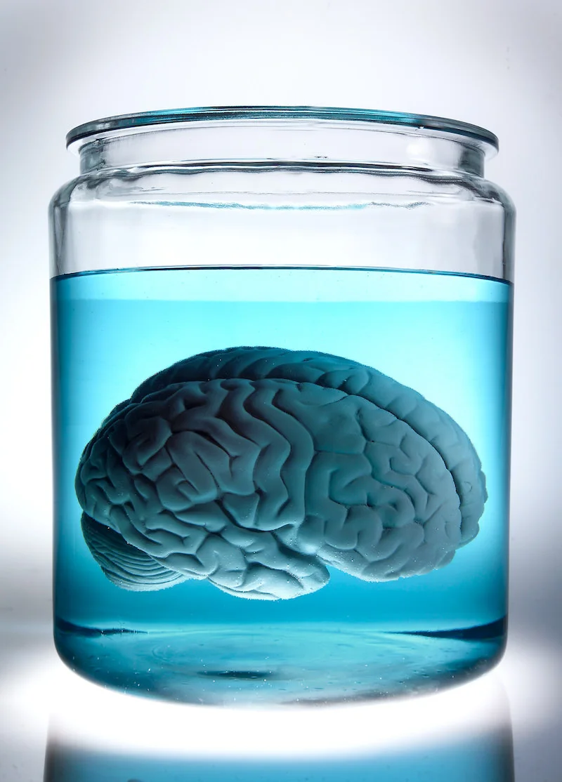 1115-08-brain-p.jpg