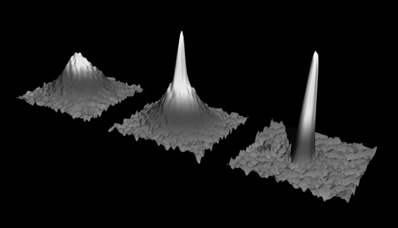 Image  via Ludwig Maximilian Universitat München  LMU