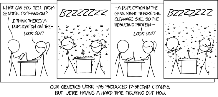 via    the comic delivery system monikered  Randall Munroe  at   XKCD