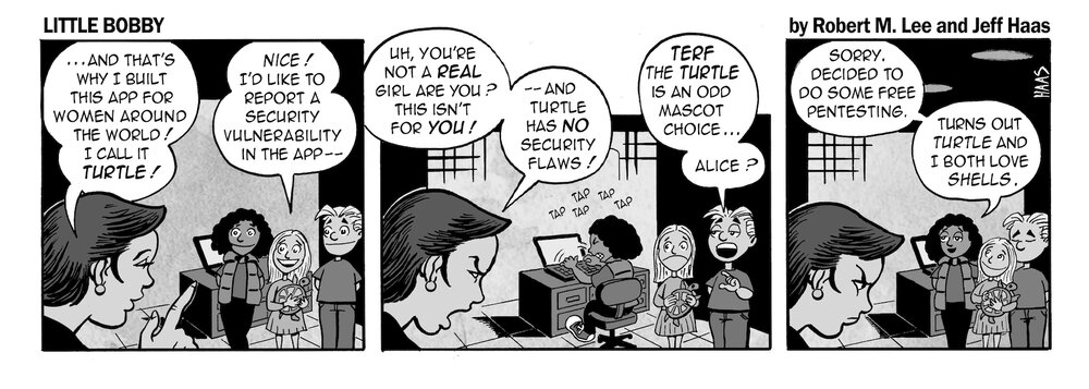 via the respected information security capabilities of Robert M. Lee & the superlative illustration talents of Jeff Haas at Little Bobby Comics .