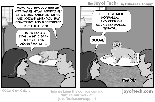 via     the  Comic Noggins  of   Nitrozac     and     Snaggy     at     The Joy of Tech®   !
