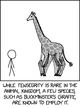 Randall Munroe’s XKCD 'Tensegrity'