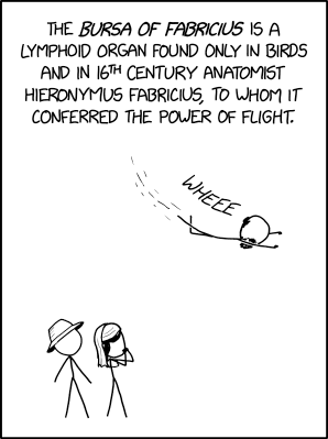 Randall Munroe’s XKCD ‘Bursa of Fabricius’