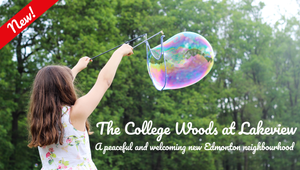 Mill Street Homes photo 6