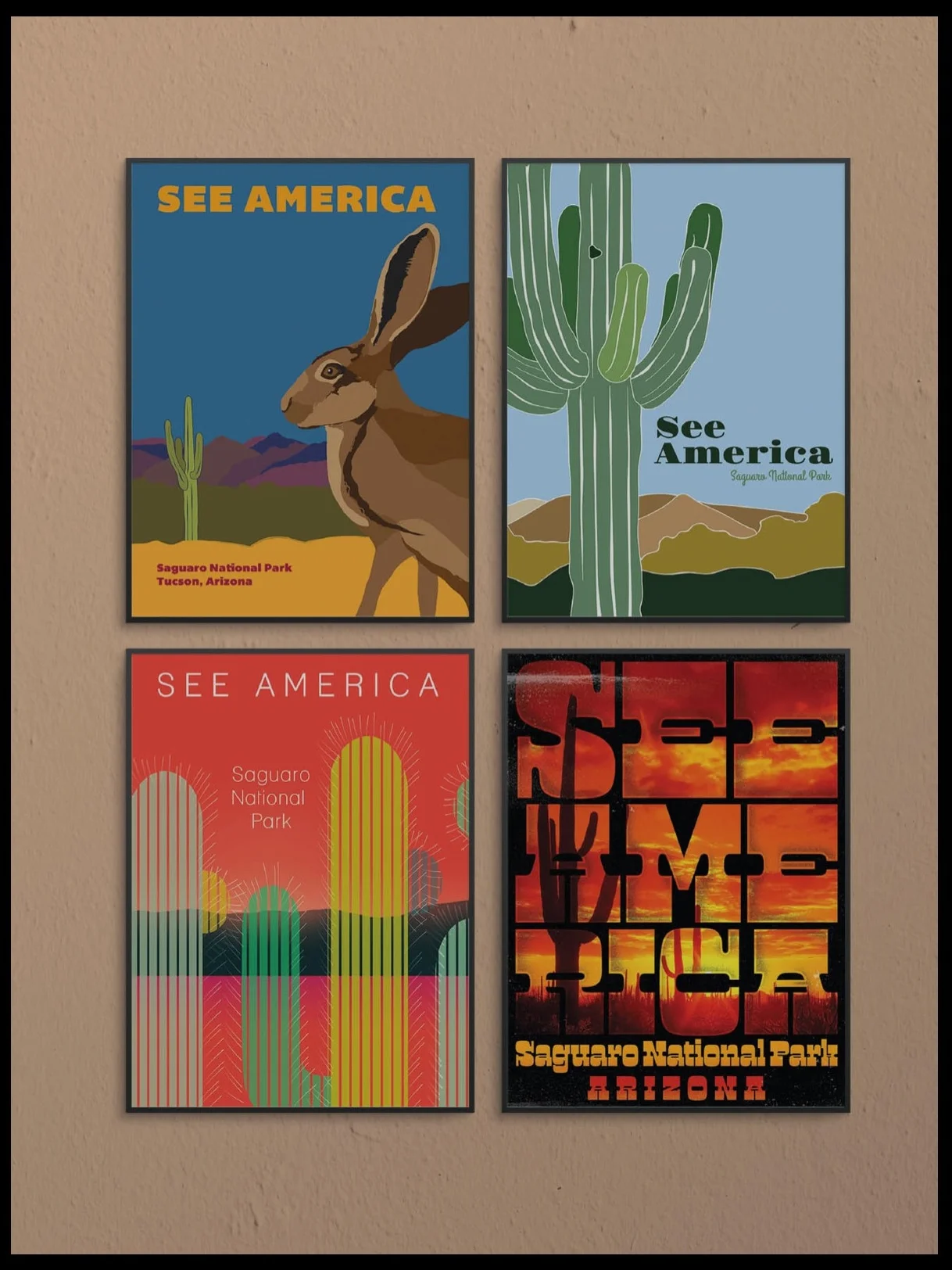 Saguaro National Park.jpg