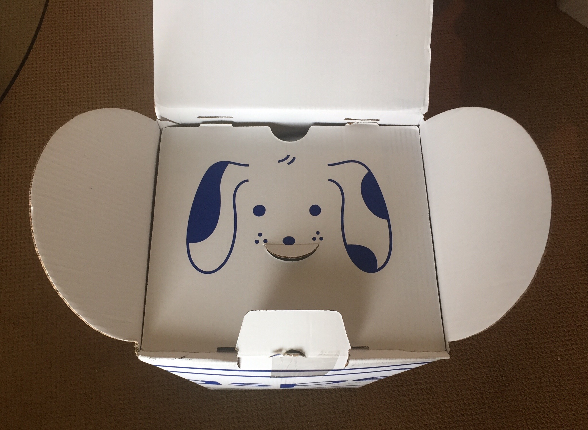 casper dog toy