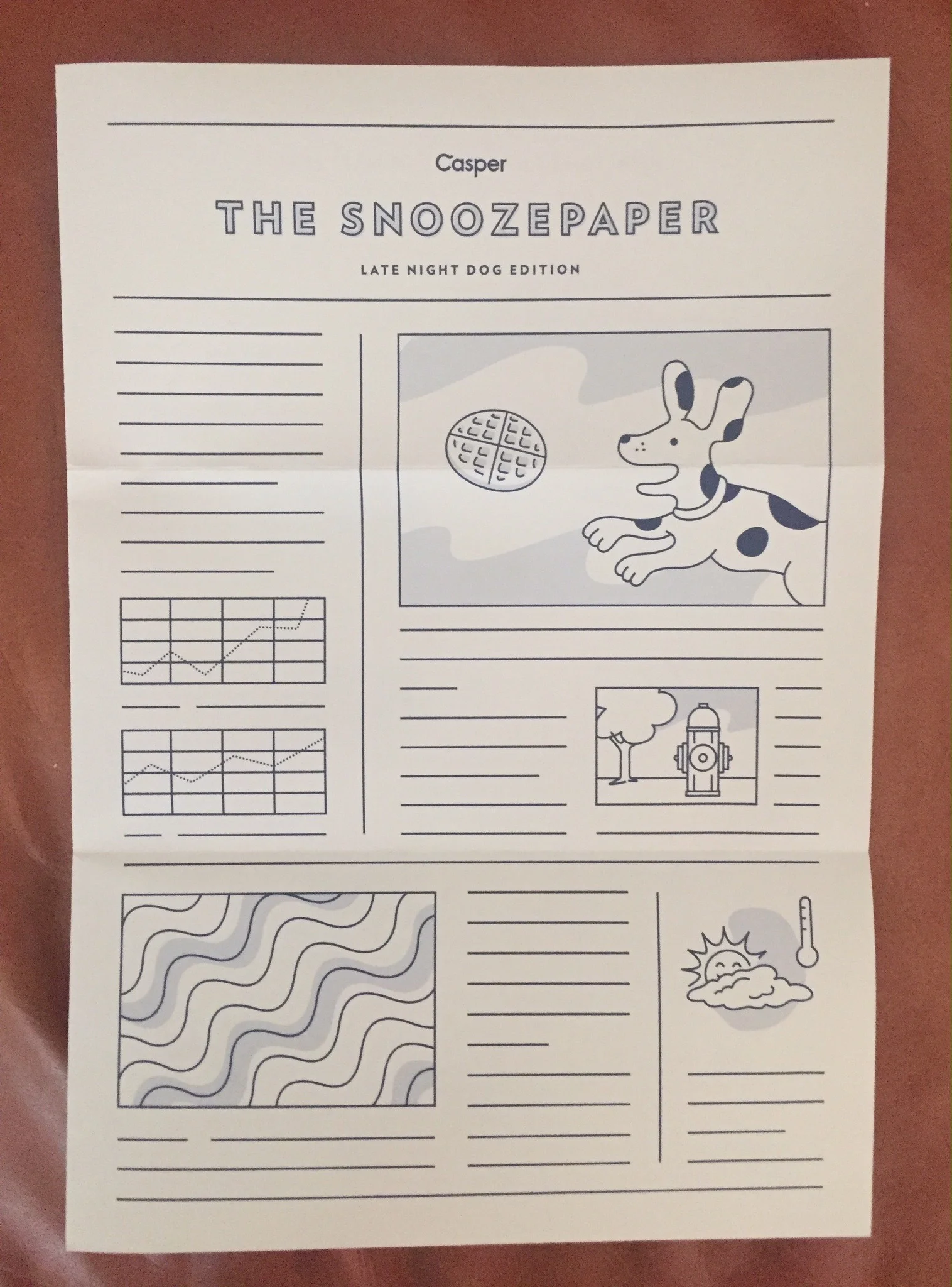 casper dog bed unboxing