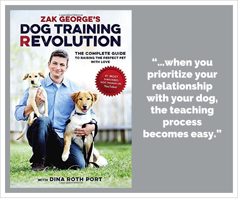 dog training videos zak george