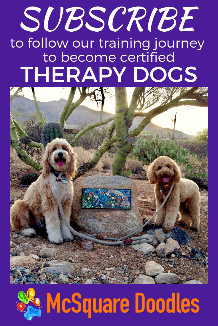 dog muzzle duck face