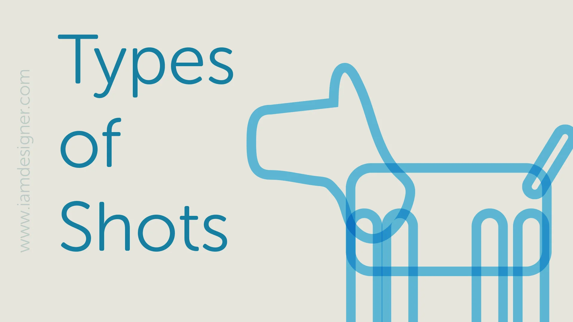 IAMDESIGNER.COM Types of Shots 270916-1.jpg
