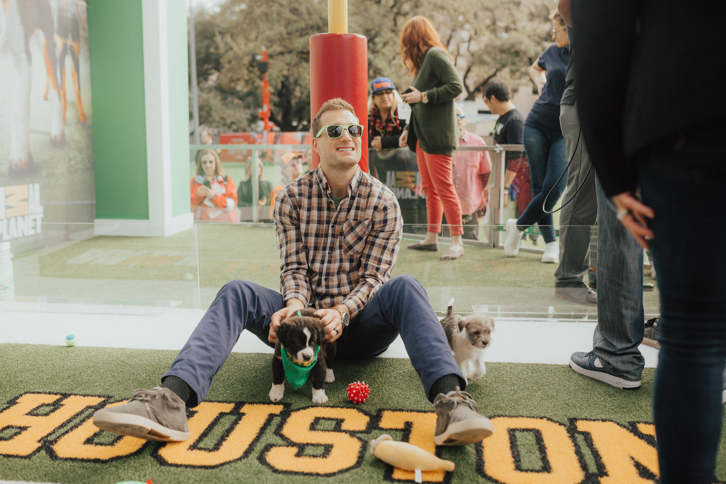 puppybowl-2.jpg