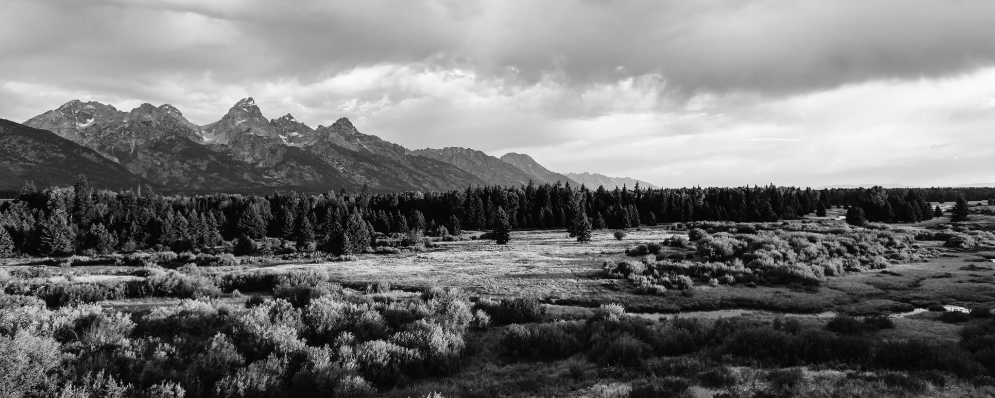 b&wbanner-2.jpg