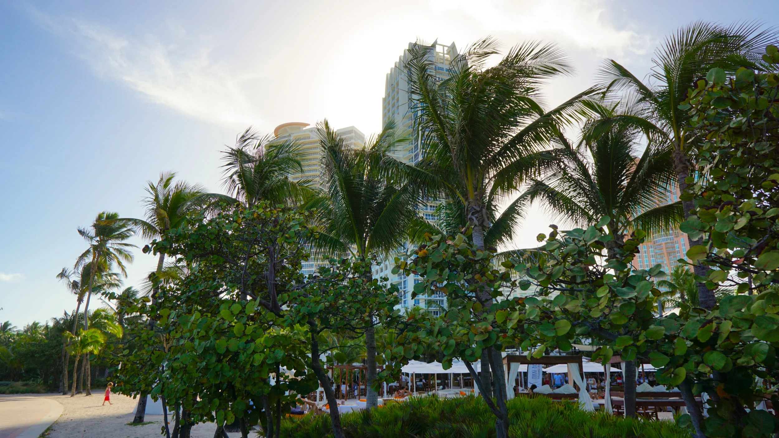 DSC01688-Edited.jpg