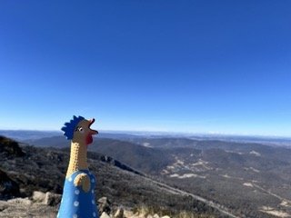 IMG_9959 2 Small.jpeg