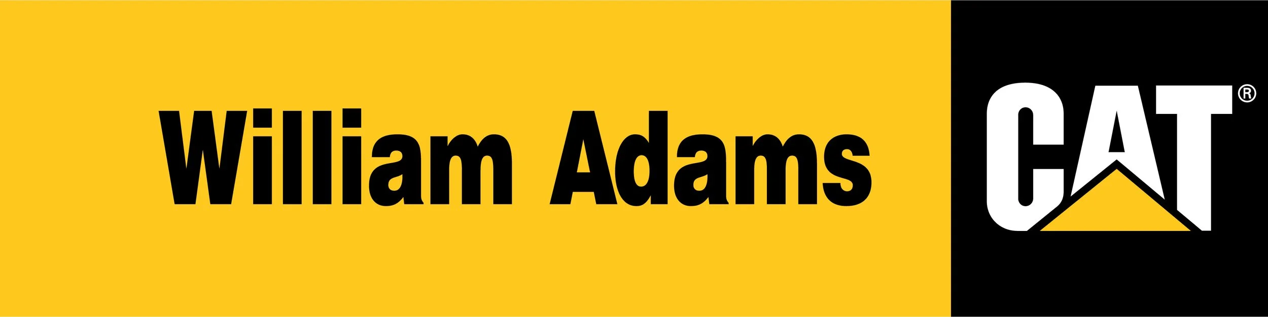 William-Adams-CAT.jpg