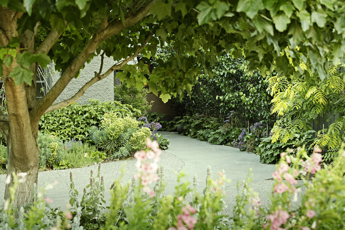 Hackett Residence, TOORAK