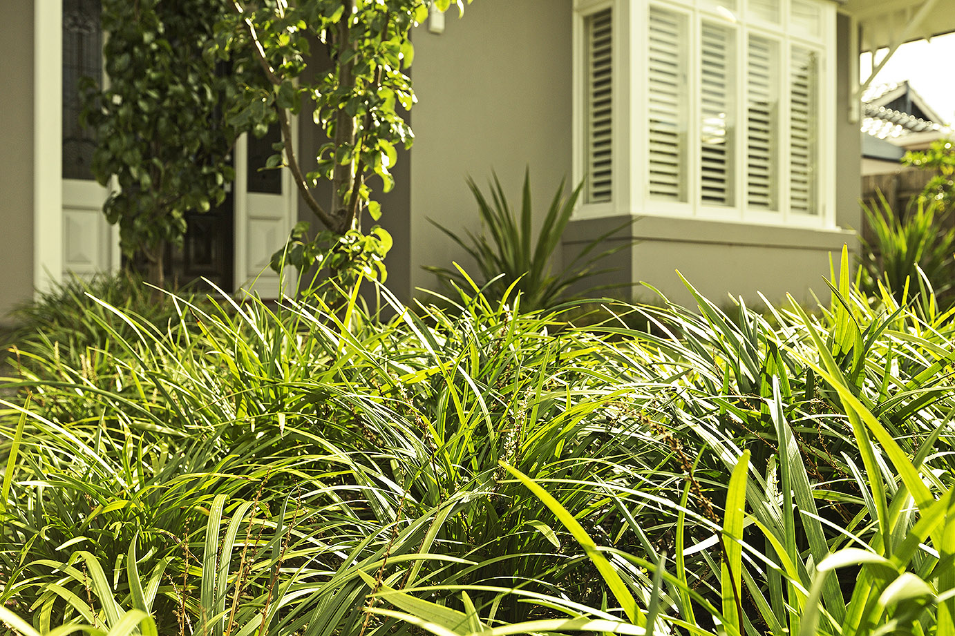 LandscapeLifestyleBrightonGrassesFront.jpg