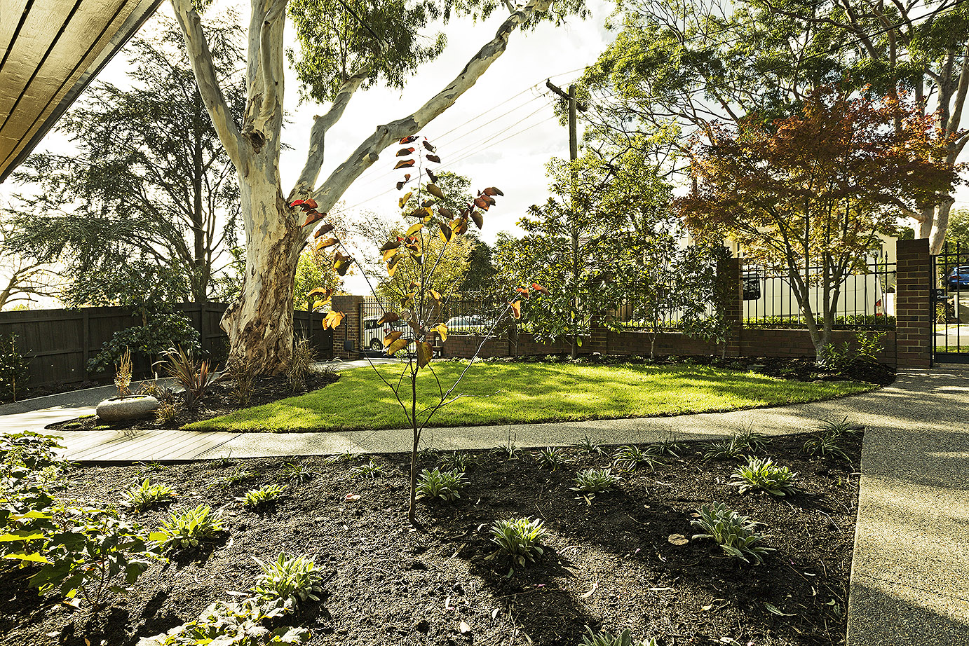 LandscapeLifestyleBalwynGardenPathLawn.jpg
