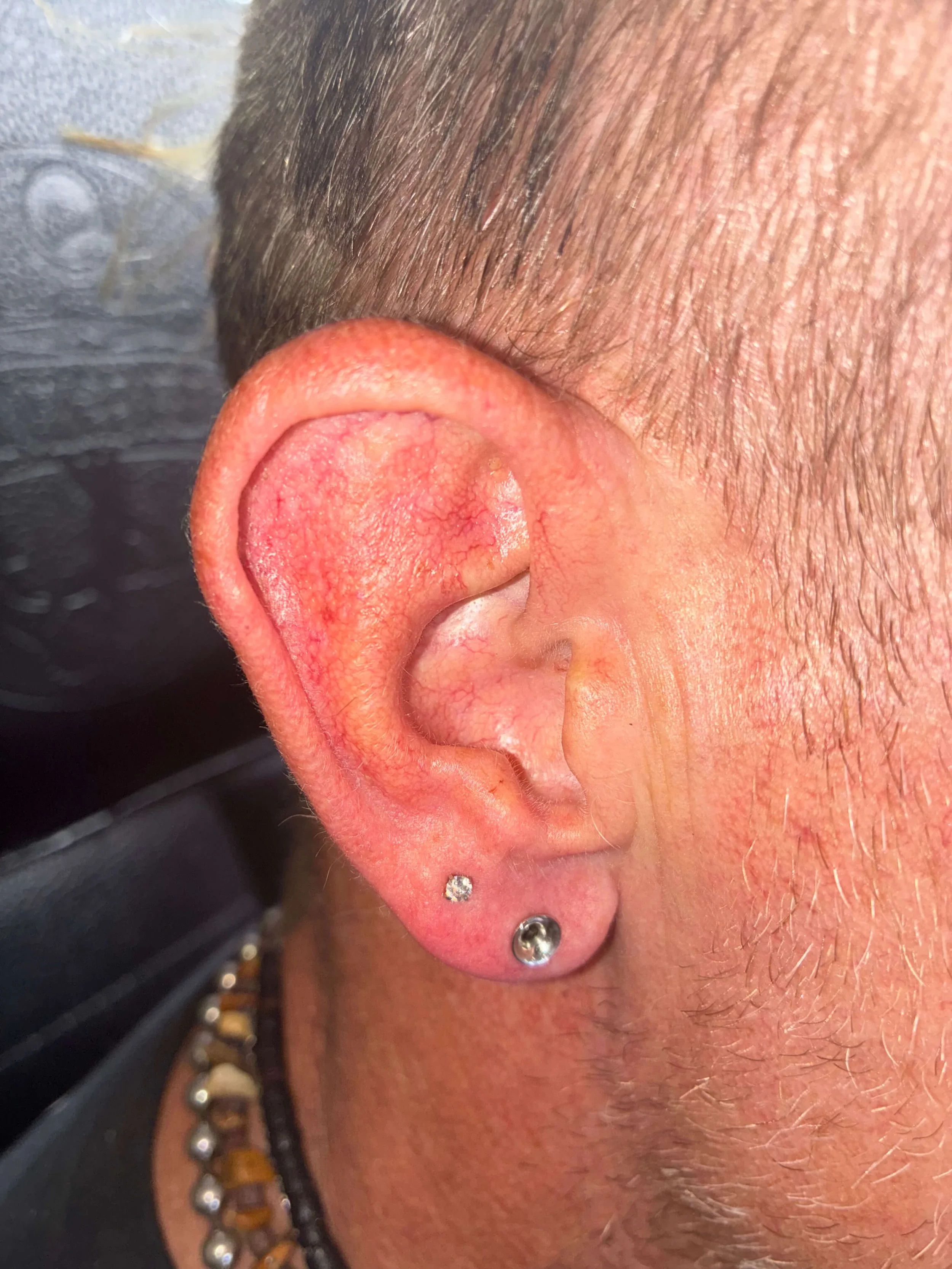 Close-up of a person's ear with multiple piercings, showing detailed skin and hair.