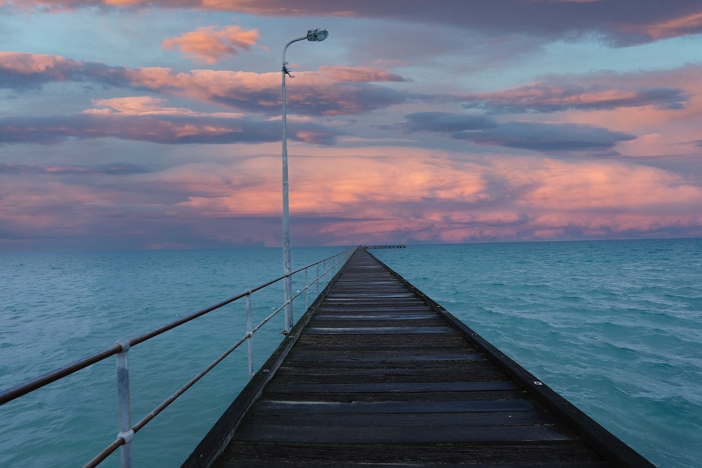 This pic turned out good . The only one I have ever taken and thought -that looks like what I just saw!

An oldie , taken on Rosebud Pier in VIC. A romantic walk to the end with Micca 😍❤️.