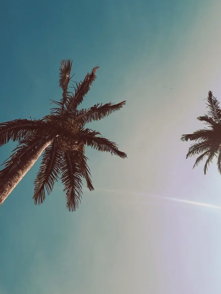 A few morning light things ! Good morning ! 🌅❤️