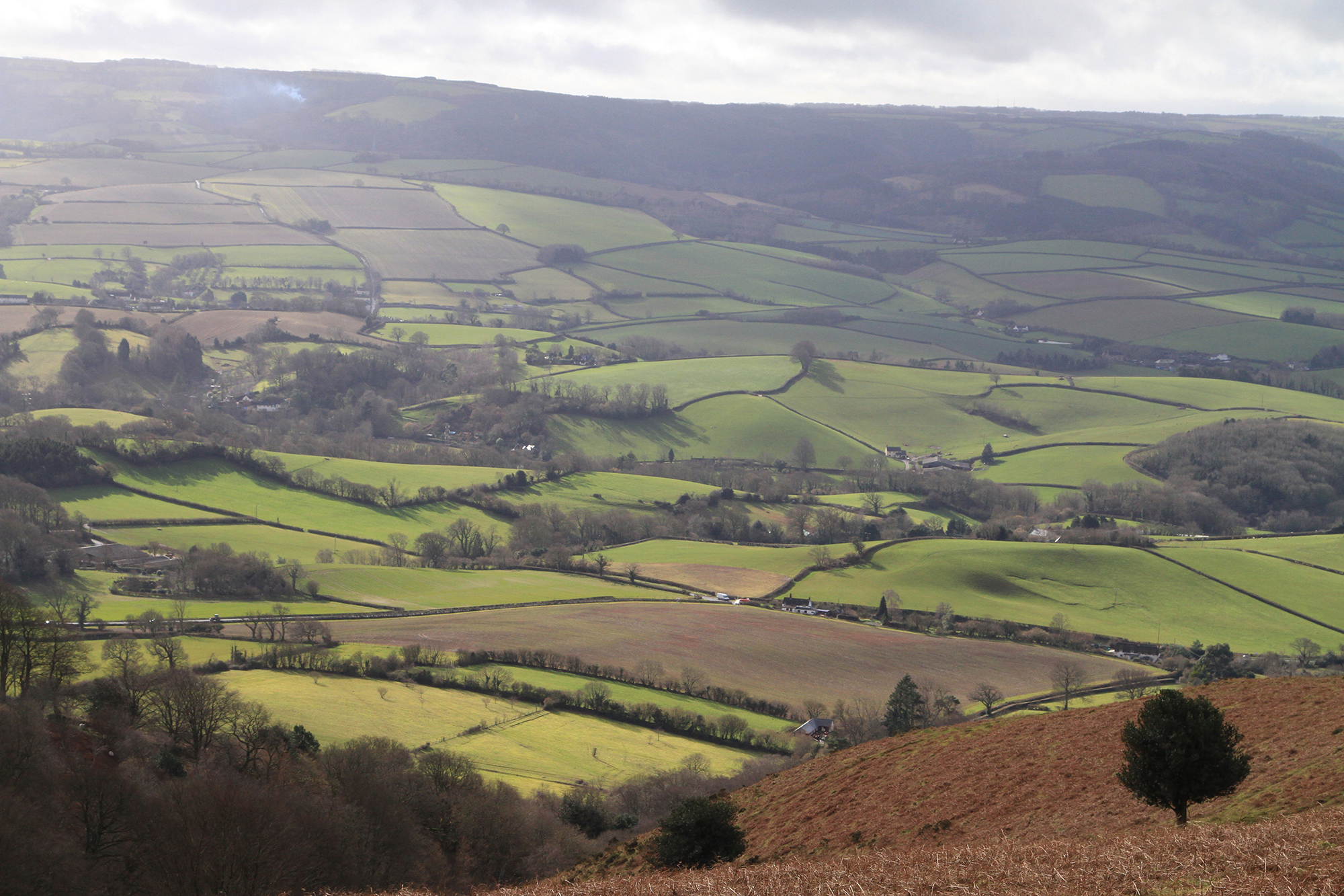 View from the Quantocks